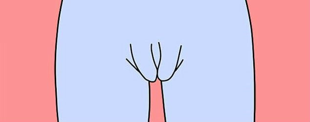 Van gordijn tot tulp: dit zijn de vijf soorten vagina's die er bestaan