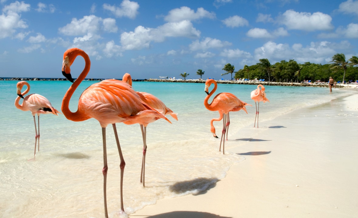 Liefhebber van zon, zee, strand en avontuur? Ga naar Aruba
