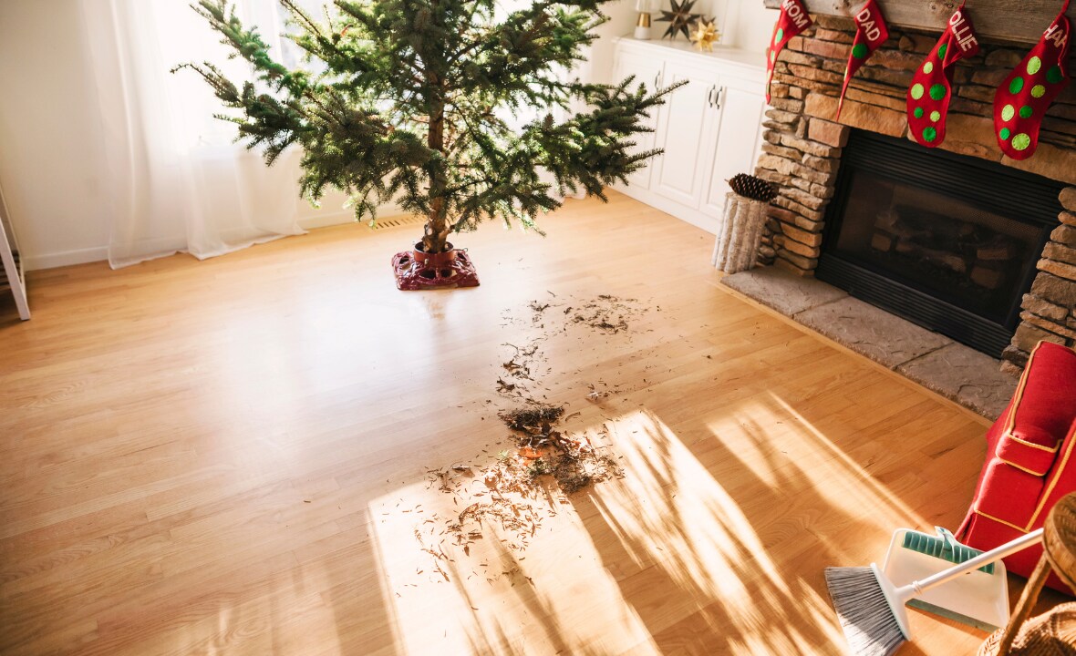 Met deze 6 tips verliest je kerstboom minder naalden Flair