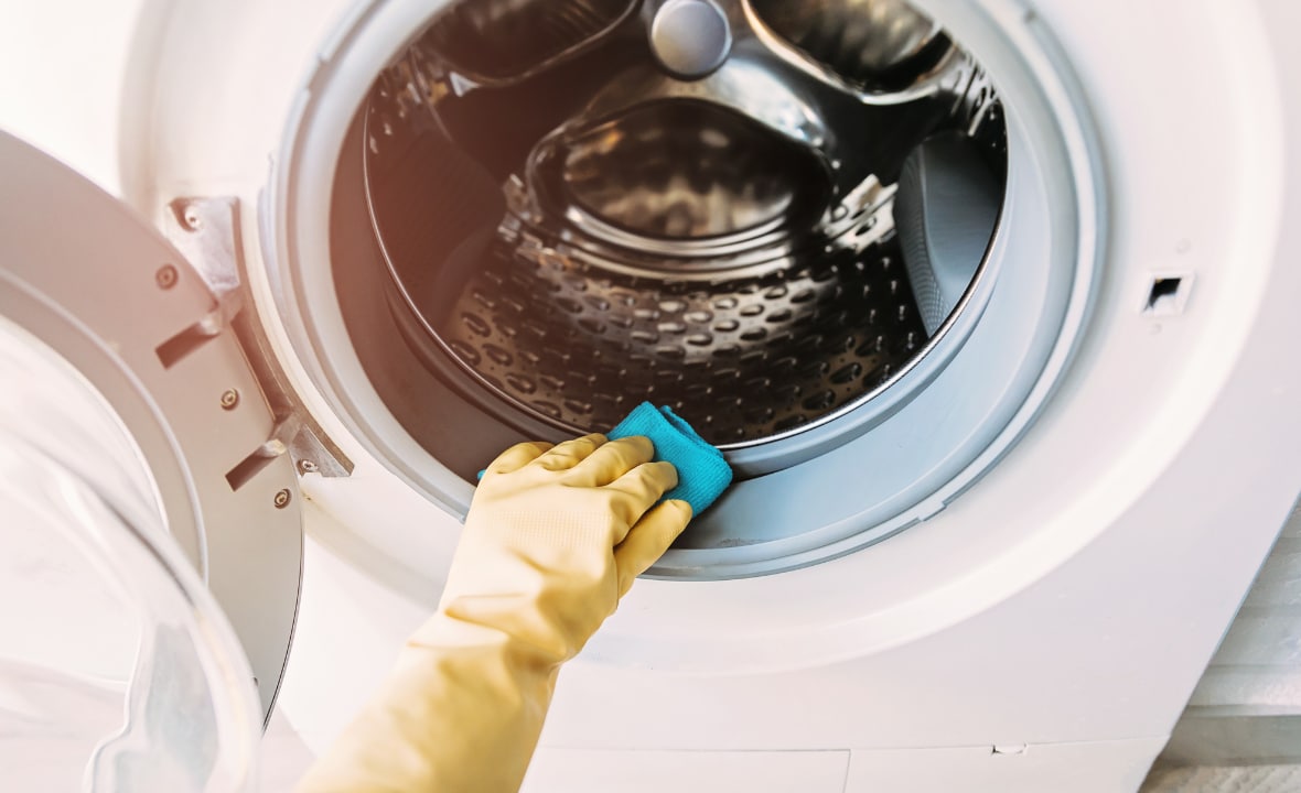 Kleding niet fris na het wassen? Misschien zit er vetluis in je wasmachine Flair