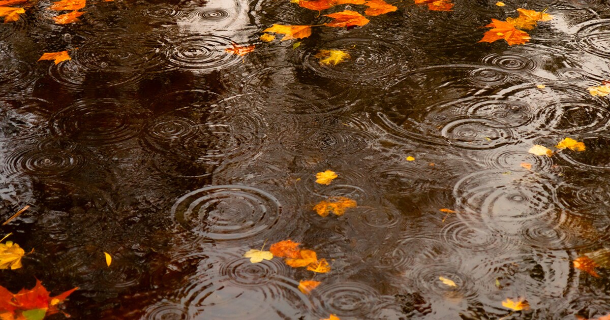 Code geel incoming: de herfst is nu echt in aantocht