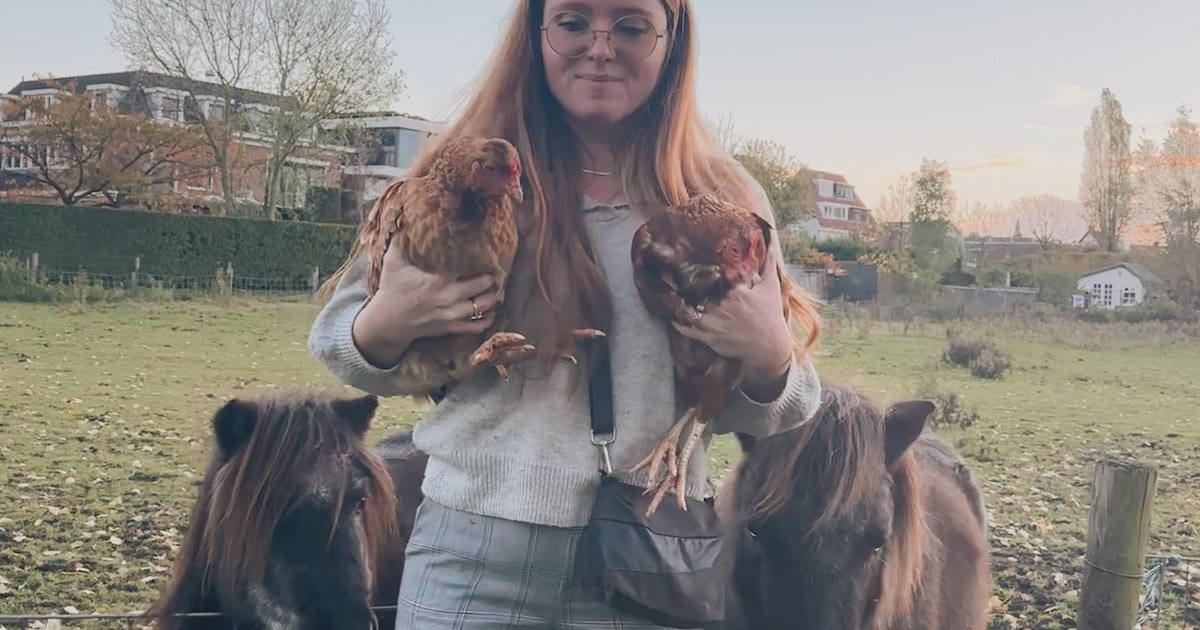 Maxz heeft een eigen weiland met pony’s, varkens en kippen