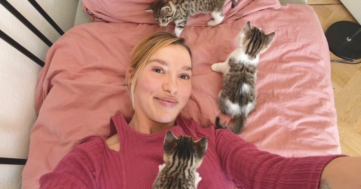 Stephanie (38) ving zwerfkatten op: ‘Eerst vond ik ze eng’